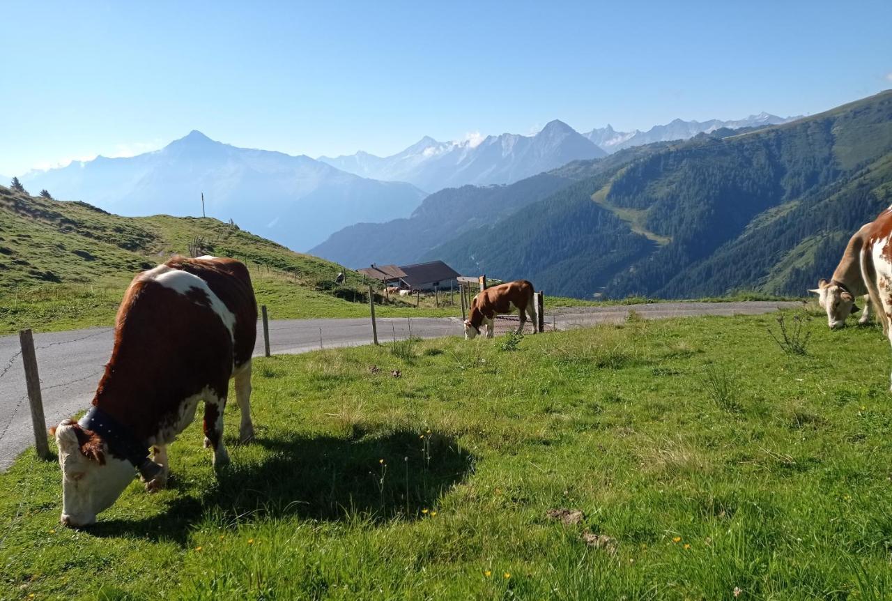 Apart Anna Mayrhofen Buitenkant foto