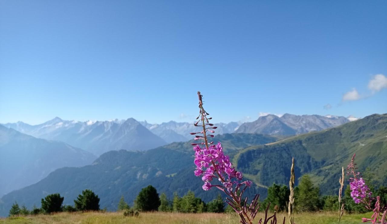 Apart Anna Mayrhofen Buitenkant foto
